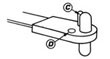 Miniature Anchornut